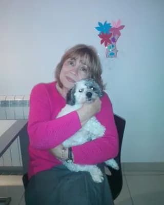 Gordana V