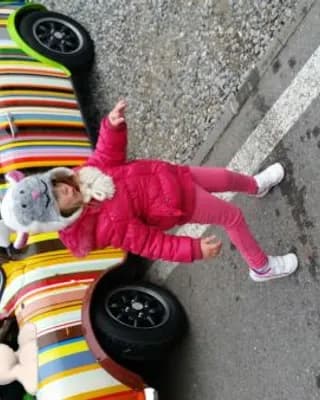 Dunjic M